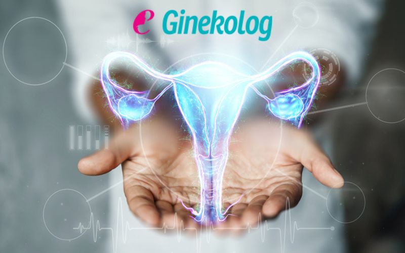 Ginekološki dijagnostički centar eGinekolog – Posvetite pažnju svom intimnom zdravlju uz sveobuhvatan ginekološki sistematski pregled!