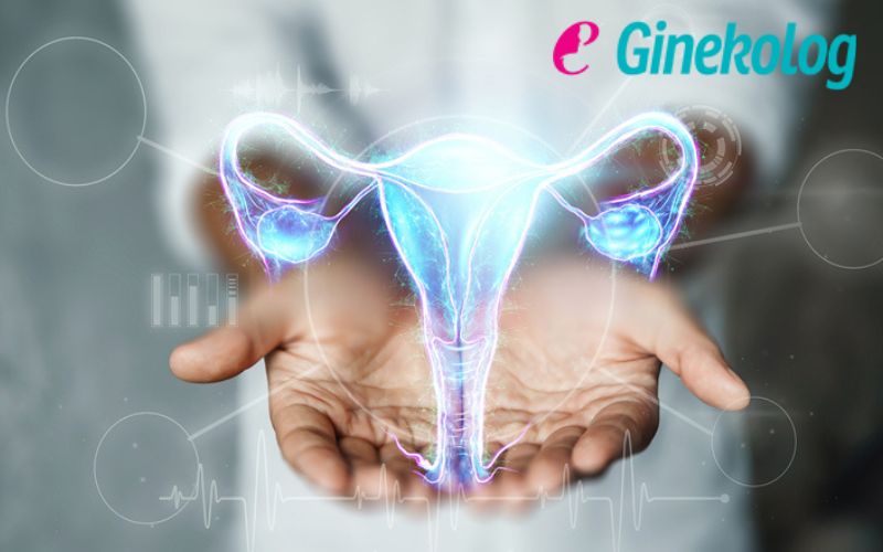 Ginekološki dijagnostički centar eGinekolog – brinite o svom intimnom zdravlju uz kompletan ginekološki sistematski pregled!